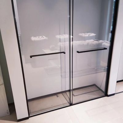 Stainless Steel,Bathroom Shower Room,Double Sliding Door,Matt Black
