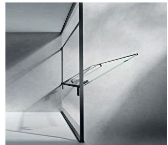 Stainless Steel , bathroom shower room，hinged door ,pivot door